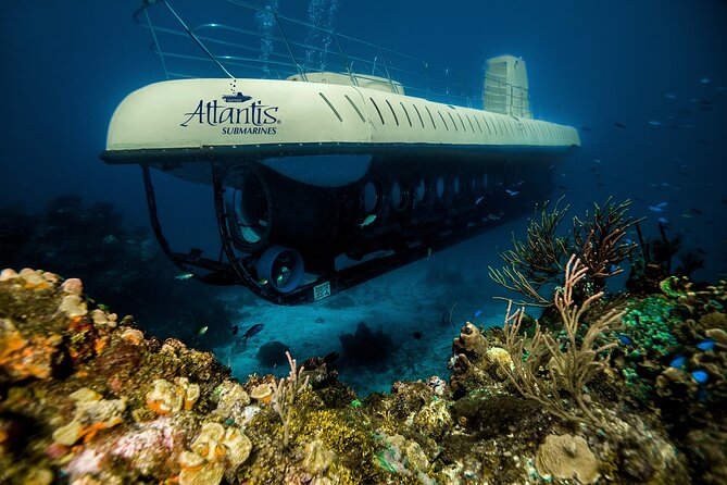 Submarine Atlantis Cozumel Adventure by Day & Sunset - Timing, weather, and cruise-day planning