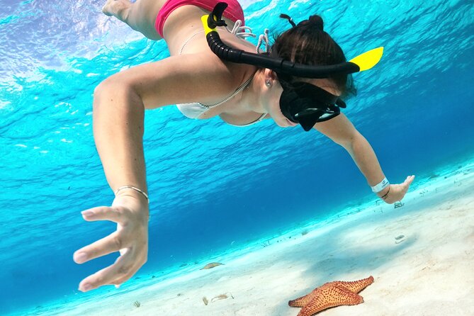 The Cozumel Turtle Sanctuary Snorkel Tour - From downtown Cozumel to the first reef