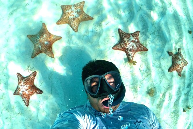 The Cozumel Turtle Sanctuary Snorkel Tour - El Cielo: starfish over pale sand