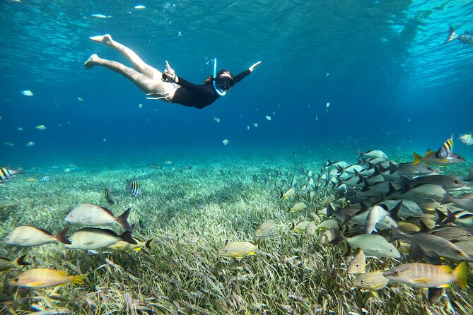 The Cozumel Turtle Sanctuary Snorkel Tour - Cielito: the sandbar and snack stop