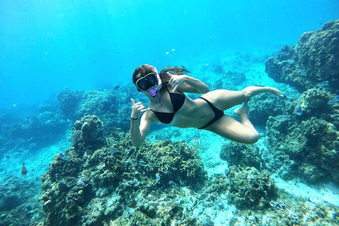 The Cozumel Turtle Sanctuary Snorkel Tour - What the $65.58 price includes, and what it does not