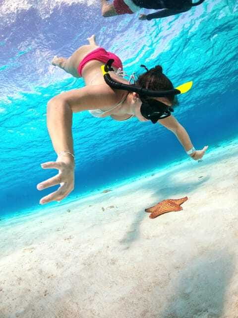 The Cozumel Turtle Sanctuary Snorkel Tour - Is this Cozumel snorkel tour worth booking?