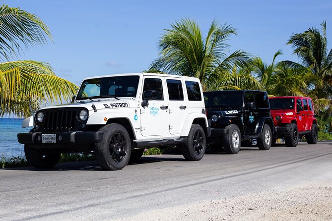 The Original Jeep Tour Revamped by Tortugas Cozumel® (Private) - Practical checks before you reserve