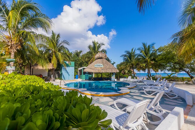 Tikinxic Barefoot Fish Guided Cookout Experience in Cozumel - Practical details before you go